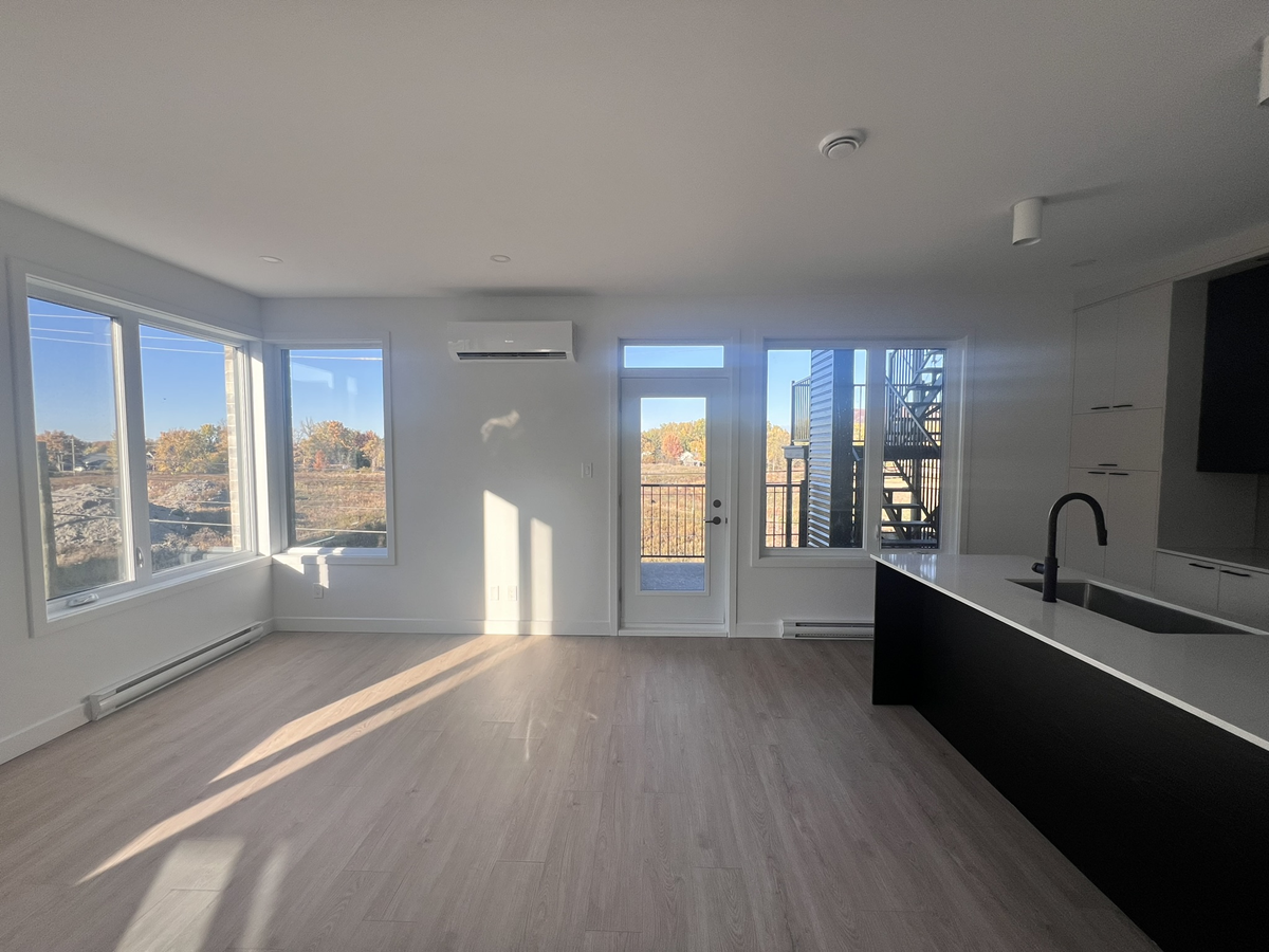 261 Rue Louis-Lévesque — photo 1
