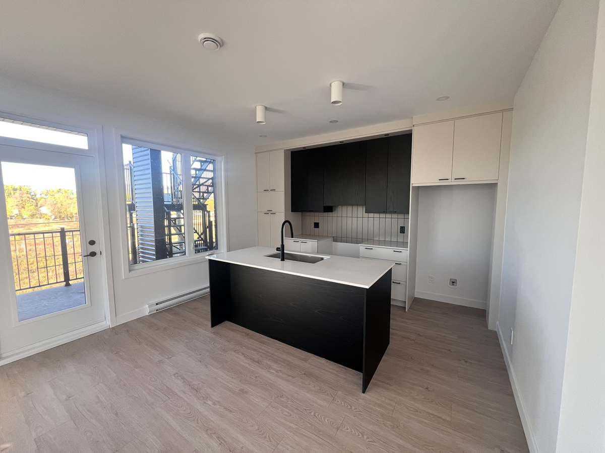 261 Rue Louis-Lévesque — photo 2