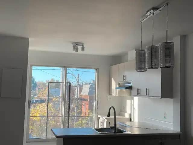 8689 Rue Tellier — photo 2