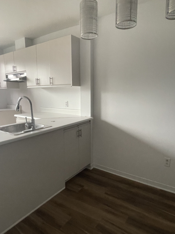 8689 Rue Tellier — photo 3