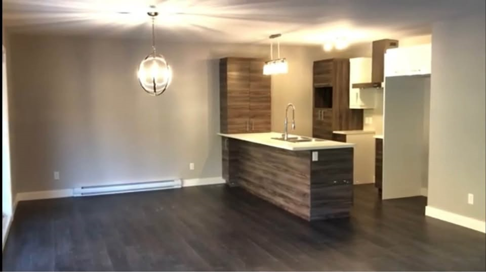 1332 Rue du Docteur-Rodolphe-Boulet — photo 2